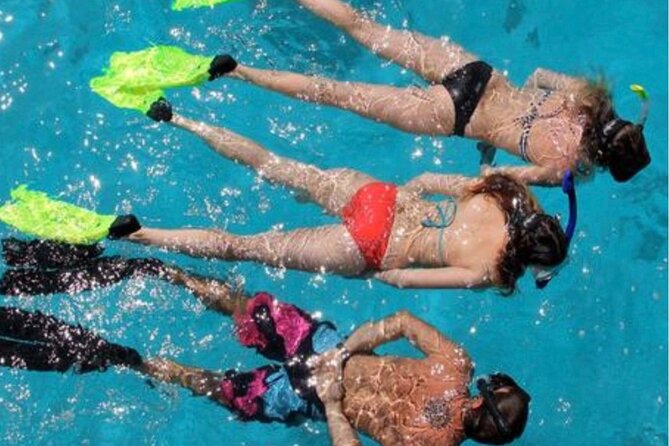 Miami: Snorkeling Experience - A private yacht turns Biscayne Bay into a 2-hour playground