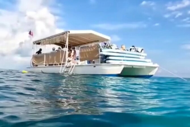 Miami: Snorkeling Experience - The sandbar or island stop: snorkeling gear, mats, and real time in the water