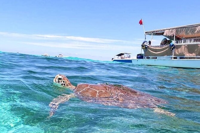 Miami: Snorkeling Experience - BYOB, onboard music, and the comfort details that save the day
