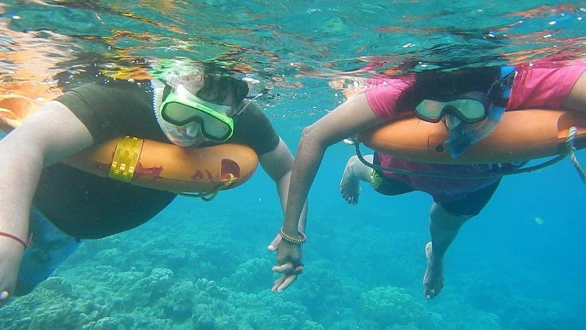 Miami Snorkeling for Beginners from Bayside Market Place - Quick take: what to know before you go