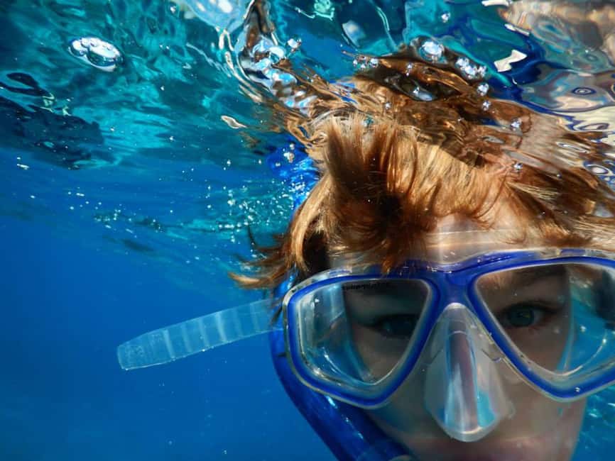 Miami Snorkeling for Beginners from Bayside Market Place - Biscayne Bay Island Time: Why This Works for First-Timers