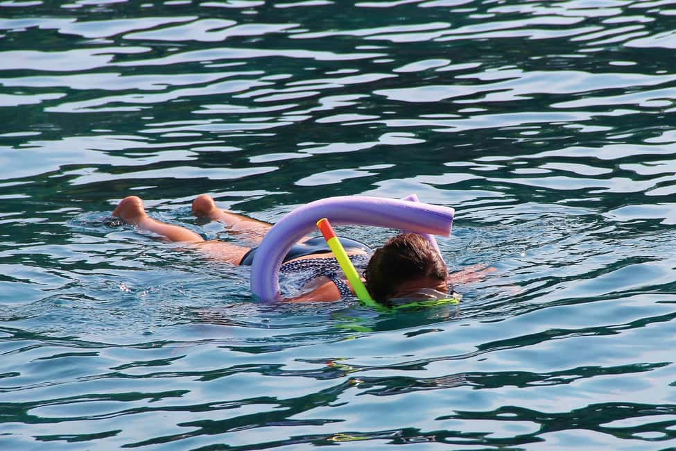 Miami Snorkeling for Beginners from Bayside Market Place - The Scenic Cruise on Biscayne Bay: Views You Get Even If You’re Nervous