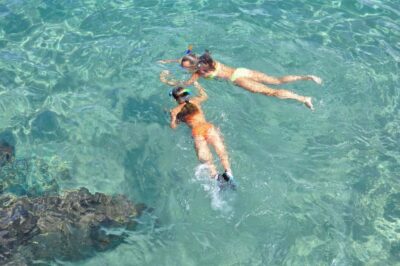 Miami Snorkeling for Beginners from Bayside Market Place - From Bayside Marketplace to Water Taxi Miami: The Meeting Point That Helps You Start Smooth