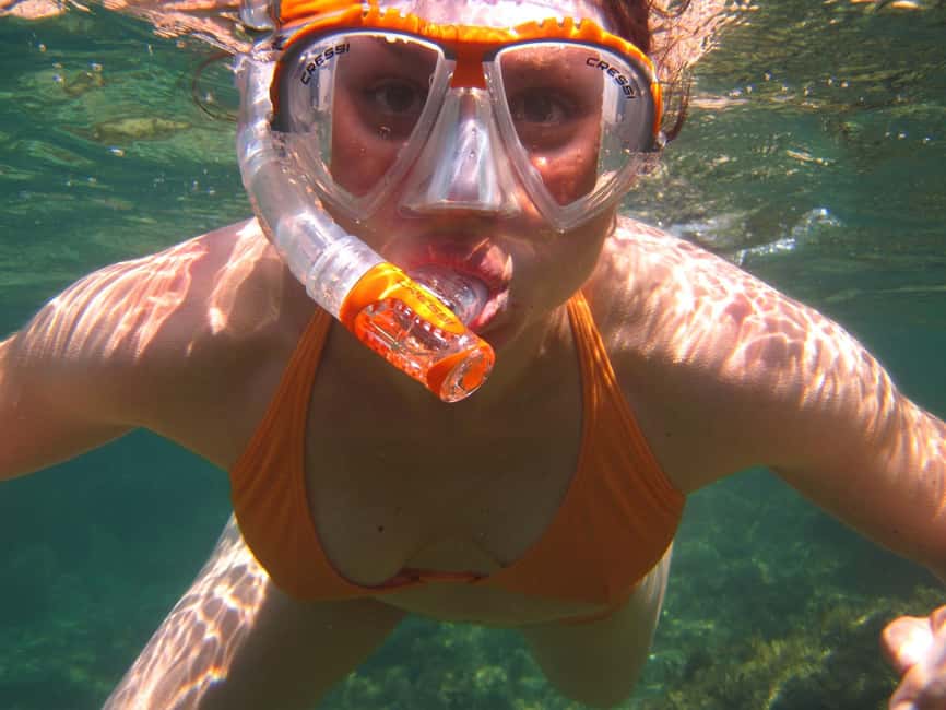 Miami Snorkeling for Beginners from Bayside Market Place - Price and Value: Is $35 a Good Deal?