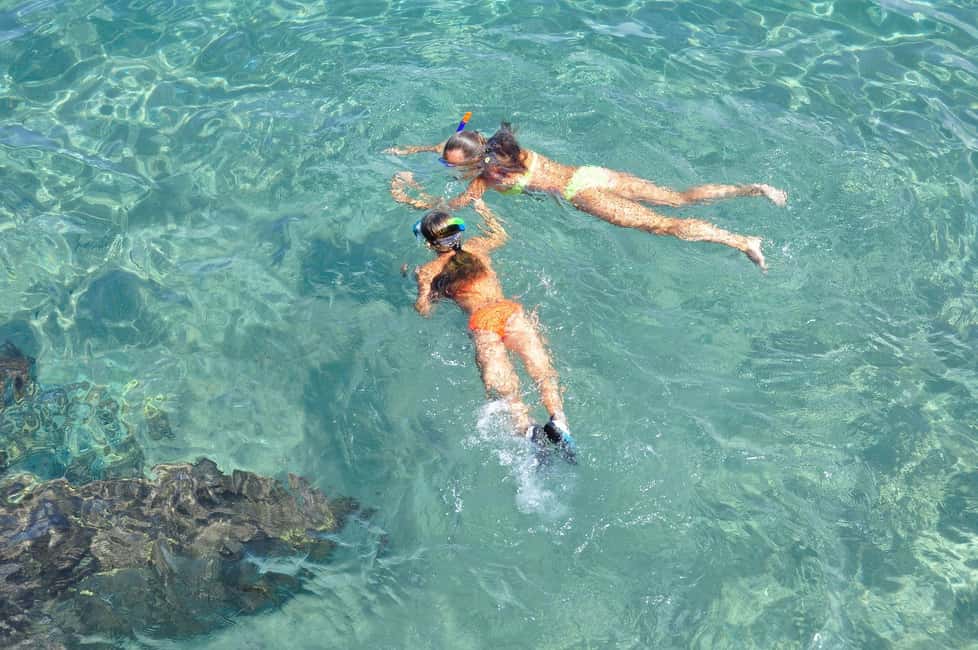Miami Snorkeling for Beginners from Bayside Market Place - From Bayside Marketplace to Water Taxi Miami: The Meeting Point That Helps You Start Smooth