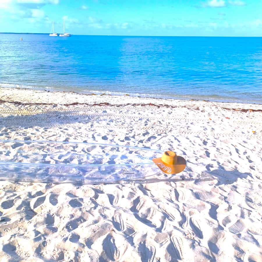 Miami/South Beach: Clear Kayak Photoshoot with Drone - Flowers for Instant Miami Glam: When the Upgrade Makes Sense