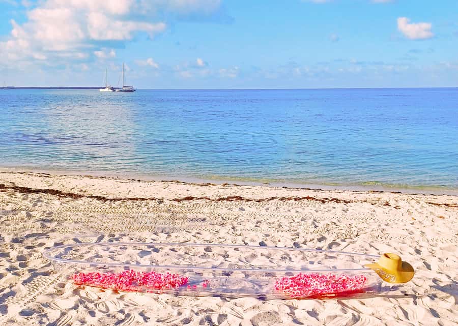Miami/South Beach: Clear Kayak Photoshoot with Drone - Who This Is Best For (and Who Should Skip It)