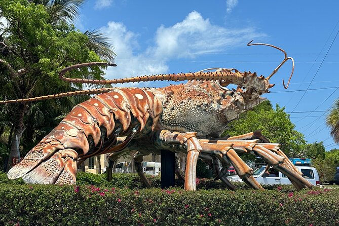 Miami to Key West Bus Tour with Narration - Bus Comfort, Heat, and the Pack-For-Weather Lesson