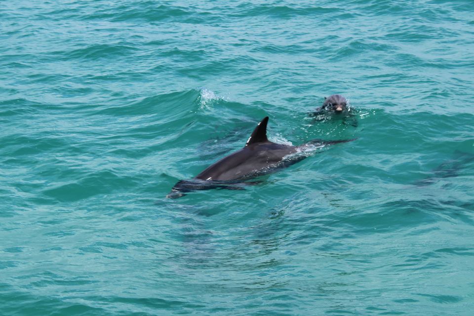Miami to Key West Shuttle: Dolphin, Snorkeling & More - Jet Ski on Duval Street Time: Fun With a Safety-First Frame