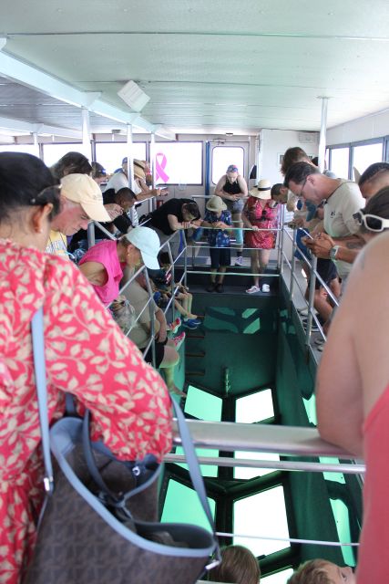Miami to Key West Shuttle: Dolphin, Snorkeling & More - Timing and Weather: Why Your Day Might Stretch