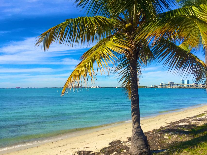 Miami: Windsurfing for Beginners and Experts - The 1-Hour Flow: Gear Up, Learn, Then Put It to Work