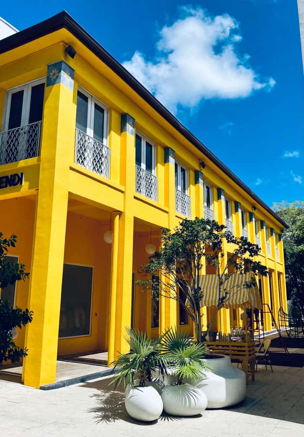 Miami's 3 iconic neighborhoods in 3.5h - in French - Taxi vers le Design District: architecture, art et grande vue