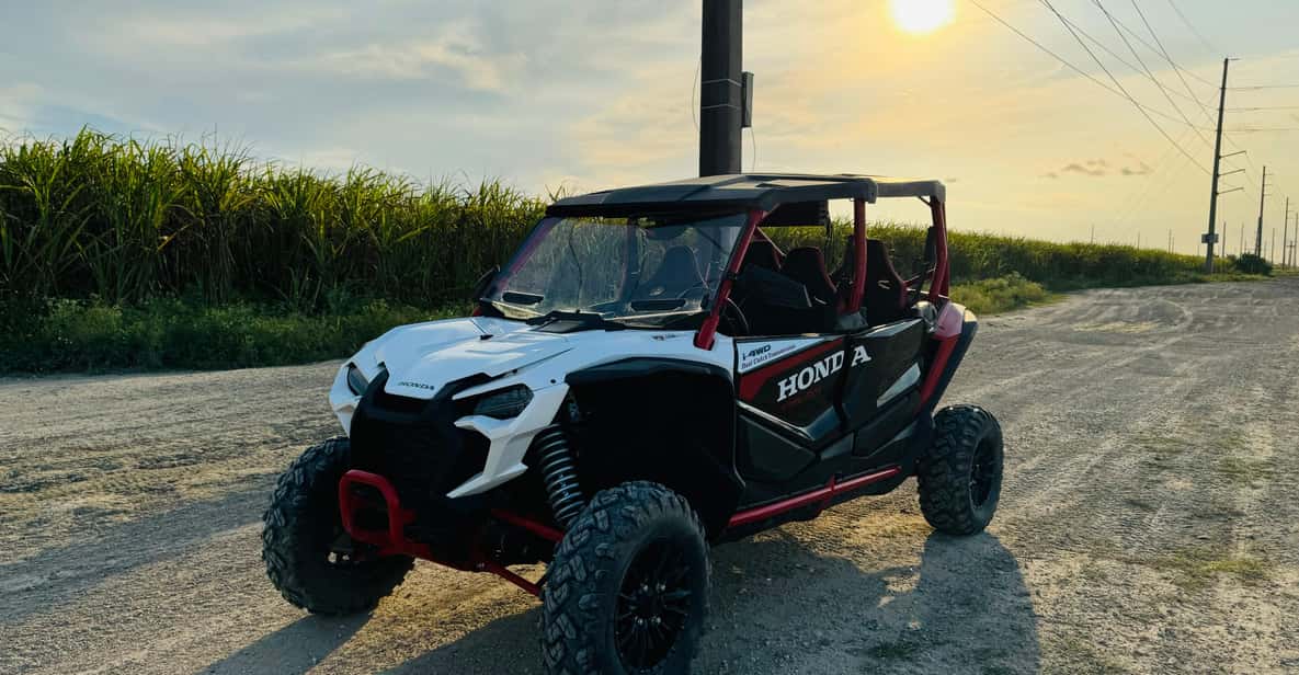 Miami's Ultimate Buggy Adventure on a Honda Talon UTV - Driving a 2024 Honda Talon UTV (4 Seats, Real Comfort)