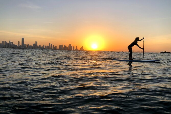 MORNING TOUR PaddleBoard or kayak - The Water: Coastal Views, Clear Lines, and Wildlife Chances