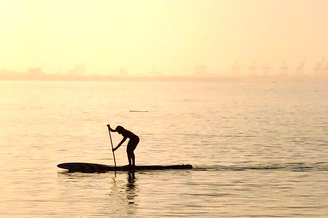 MORNING TOUR PaddleBoard or kayak - Safety Gear Included, but You Still Need Water Confidence