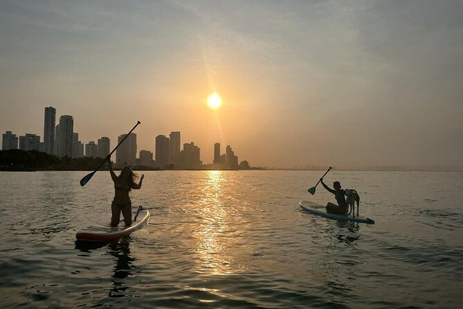 MORNING TOUR PaddleBoard or kayak - Timing, Duration, and What You Should Plan For