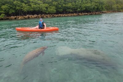 Nature & Island Exploration on SUP/Kayak - Choosing SUP vs Kayak: What the Guide Does First
