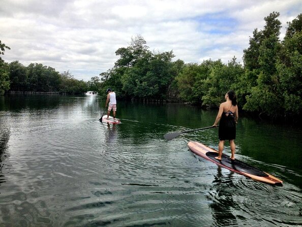 Nature Stand Up Paddle Boarding Experience in Miami - Key Things You’ll Notice on This Miami SUP