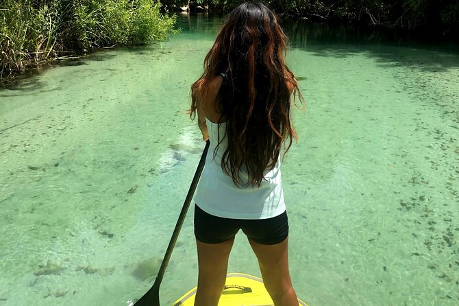 Nature Stand Up Paddle Boarding Experience in Miami - Mangroves, Wildlife, and a Clear Plan for First-Timers