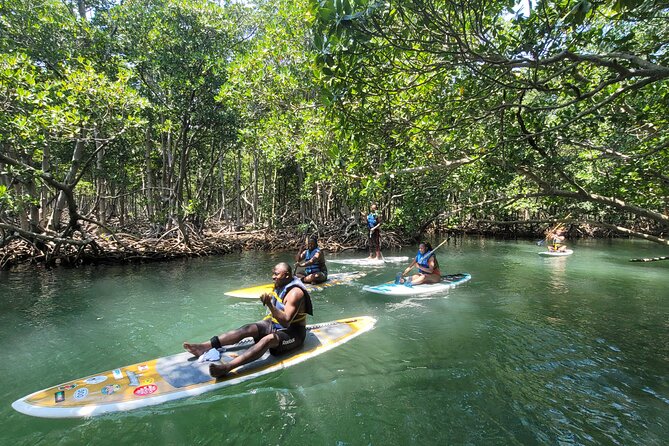 Nature Stand Up Paddle Boarding Experience in Miami - Paddling Through Mangroves: Wildlife Viewing That Feels Real