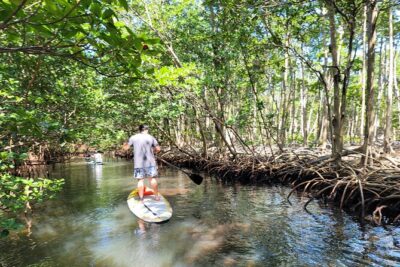 Nature Stand Up Paddle Boarding Experience in Miami - The First 10 Minutes: Get Your Balance Before the Mangroves