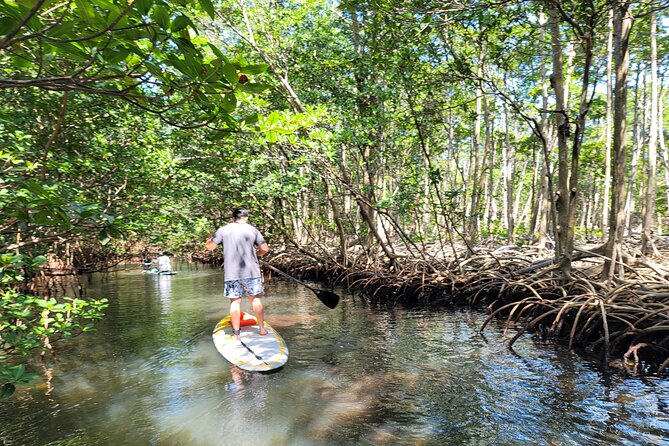 Nature Stand Up Paddle Boarding Experience in Miami - The First 10 Minutes: Get Your Balance Before the Mangroves