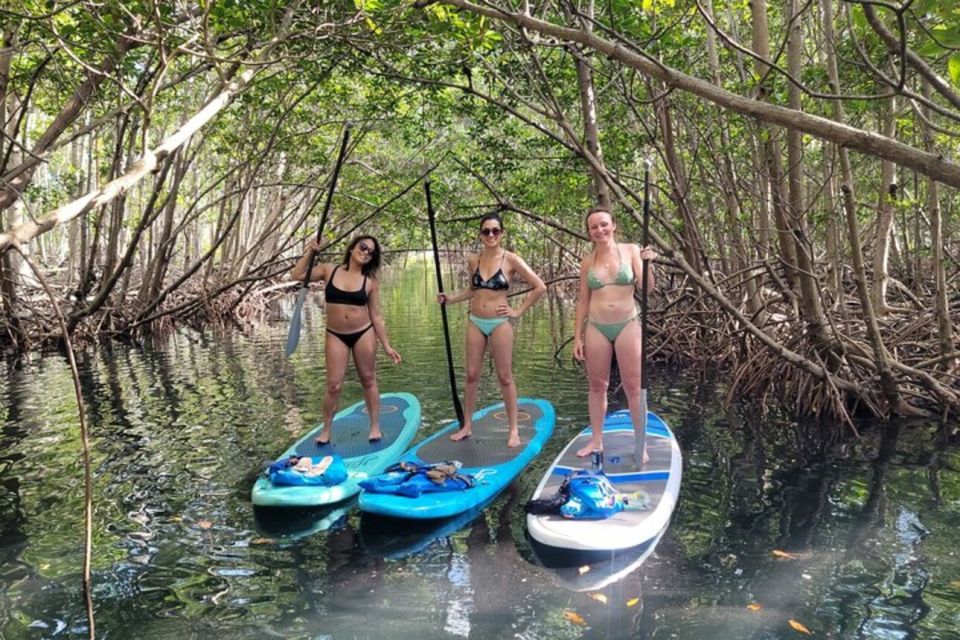 North Miami: Nature & Island Exploration on SUP/Kayak - Island break: swim time, fruit snack, and unlimited drinks