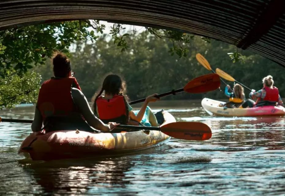Oleta River State Park: Eco Kayak or Paddleboard Tour - Key things that make this tour worth your time