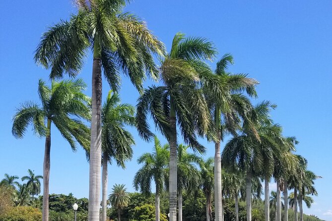 Palm Beach Tour from Miami - Flagler's Museum + Hotel Breakers - Price and Value: What $490 Covers (And What You’ll Pay Extra)