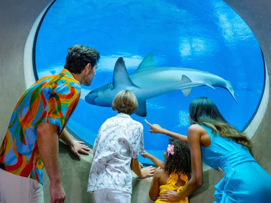 Passin Miami: 30+ Attractions, eSIM & 1-Way Airport Transfer - What the “Skip the Ticket Line” Really Means for Your Day