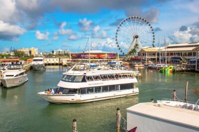 Passin Miami: Free 30+ Attractions, eSIM & 1-Way Airport Transfer - Big Bus Miami (24hr) + Blue Line night tour: your low-effort getting-around plan