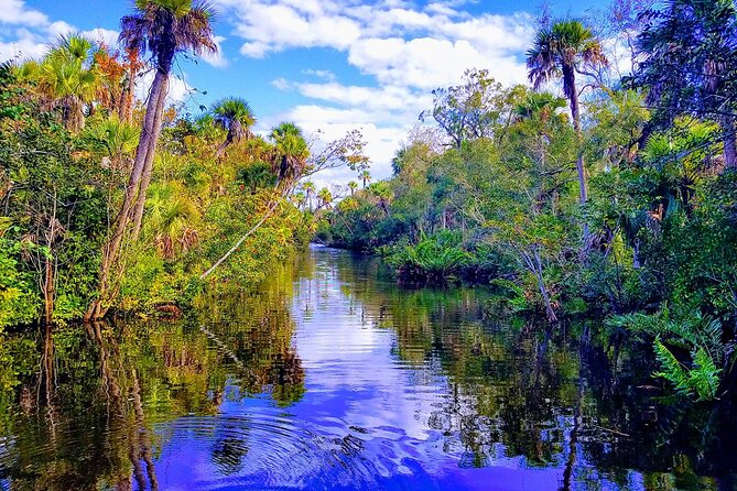 Peacock Bass Fishing Trip near Miami South Beach - Why Miami canals are the star here (not just South Beach)