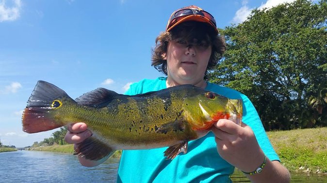 Peacock Bass Fishing Trips Near Key Largo - The Peacock Bass Game: Skills, Species, and What “No Fish, No Pay” Changes