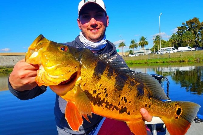 Peacock Bass Fishing Trips Near Miami Florida - Key highlights I’d circle before you book