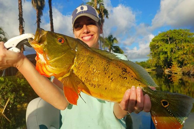 Peacock Bass Fishing Trips Near Miami Florida - Captain Coaching and Included Gear: What You Can Skip Bringing