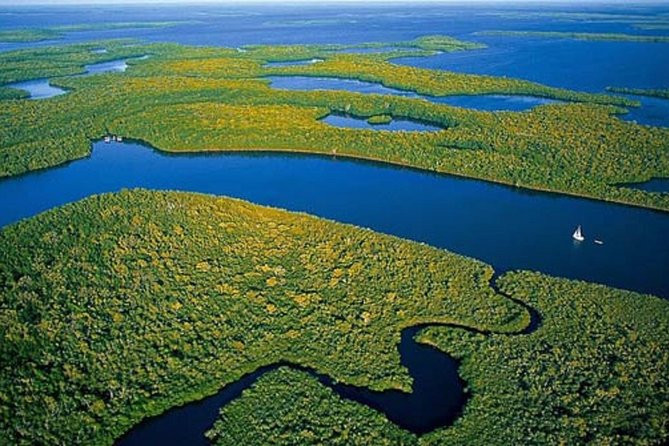 Private 4 Hour Everglades Tour with shared Airboat - Key Things You’ll Notice on This Everglades Tour