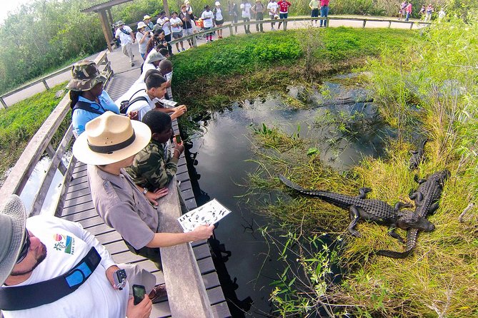 Private 4-hour Tour of Everglades from Miami Dade - Pickup, Drive Time, and Why “Private” Can Still Save You