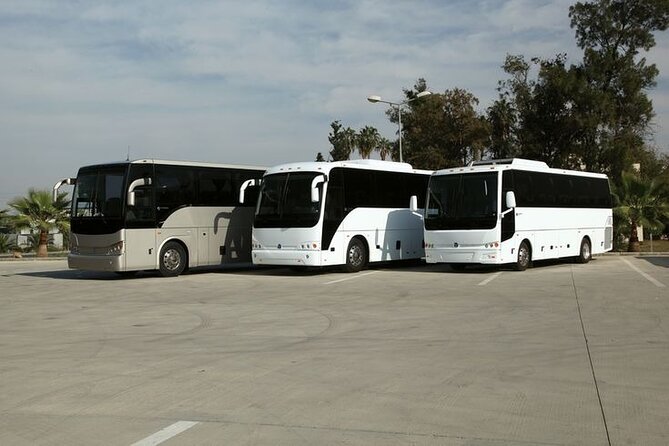 Private Cruise Port Transfer from MIA Airport or Any Miami Hotel - Review highlights that matter for your day