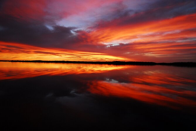 Private Everglades 10,000 Islands Photo and Birding Boat Safari - How the Master Naturalist helps your photos (not just your sightseeing)