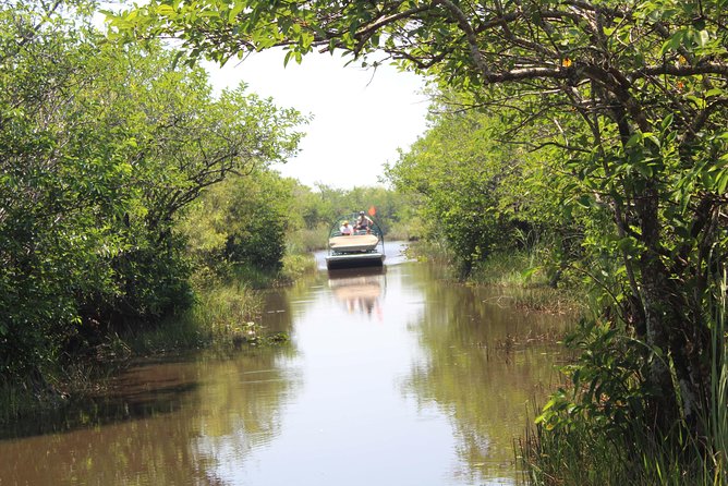 Private Everglades Airboat Tour with Pick up and Everglades Guide - How the Miami pickup really works (and what to do if you’re in Miami Beach)