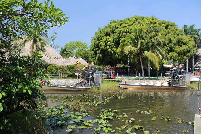 Private Everglades Airboat Tour with Pick up and Everglades Guide - The baby alligator show: photos, hands-on time, and how to get ready