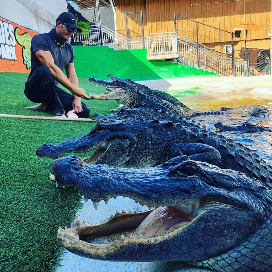 Private Everglades Tour:Explore the Beauty of the Everglades - FAQ
