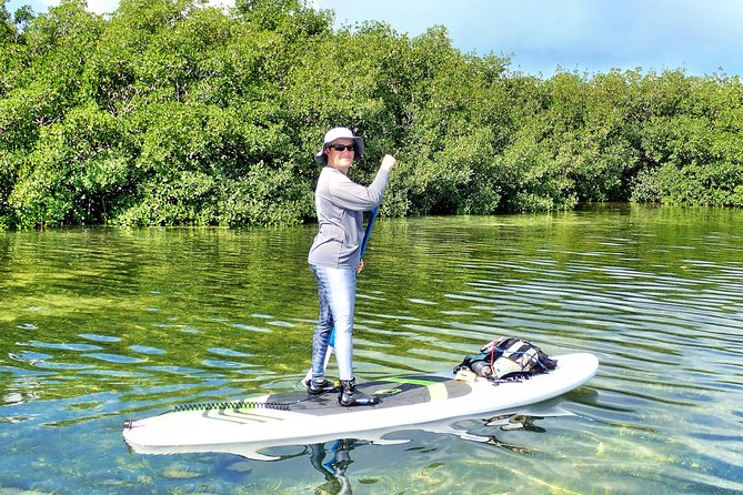 Private Guided Kayak or SUP Eco Adventure - Stop 1: Biscayne Bay Aquatic Preserve and the snorkel-ready side of the bay