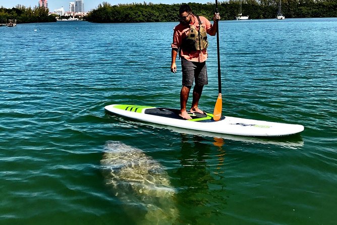 Private Guided Kayak or SUP Eco Adventure - What’s included (and what to bring) so you’re not overpacked