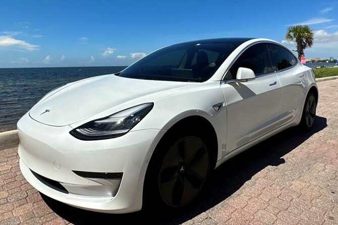 Private Miami City Tour in Tesla with local expert - Stop 1: Wynwood walking time and street-art photos