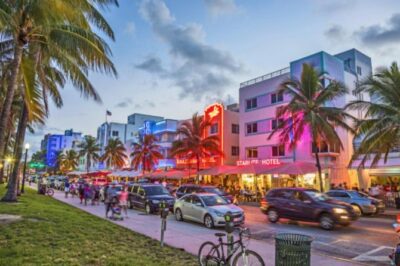 Private Tour: South Beach Sightseeing - Wynwood Walls: street art with real stop-time