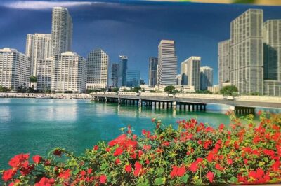 See it All in One Tour!! 6hr VIP Full Experience of Miami!! - From Bayside to Ocean Drive: skyline, Art Deco, and the Scarface factor
