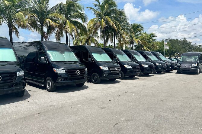 Shuttle Service from Miami Airport & Hotels to Port of Miami - Key Highlights You’ll Care About