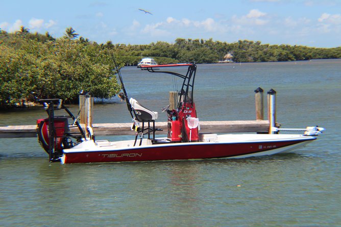 Small-group private Key West tour with expert guide - Should you book this Miami-to-Key-West private tour?