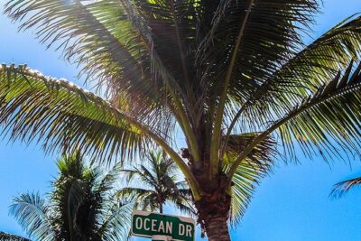 South Beach Golf Cart Tour - Ocean Drive on Four Wheels: Starting at Rosetta Bakery